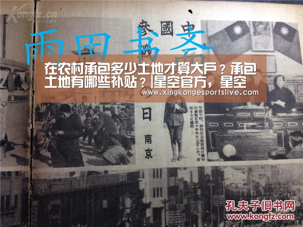 在农村承包多少土地才算大户?承包土地有哪些补贴?|星空官方,星空电竞,星空登录,星空平台(图1) 星空官方,星空电竞,星空登录,星空平台