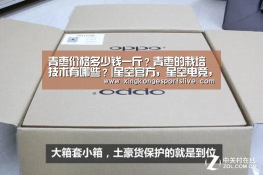 星空官方，星空电竞，星空登录，星空平台