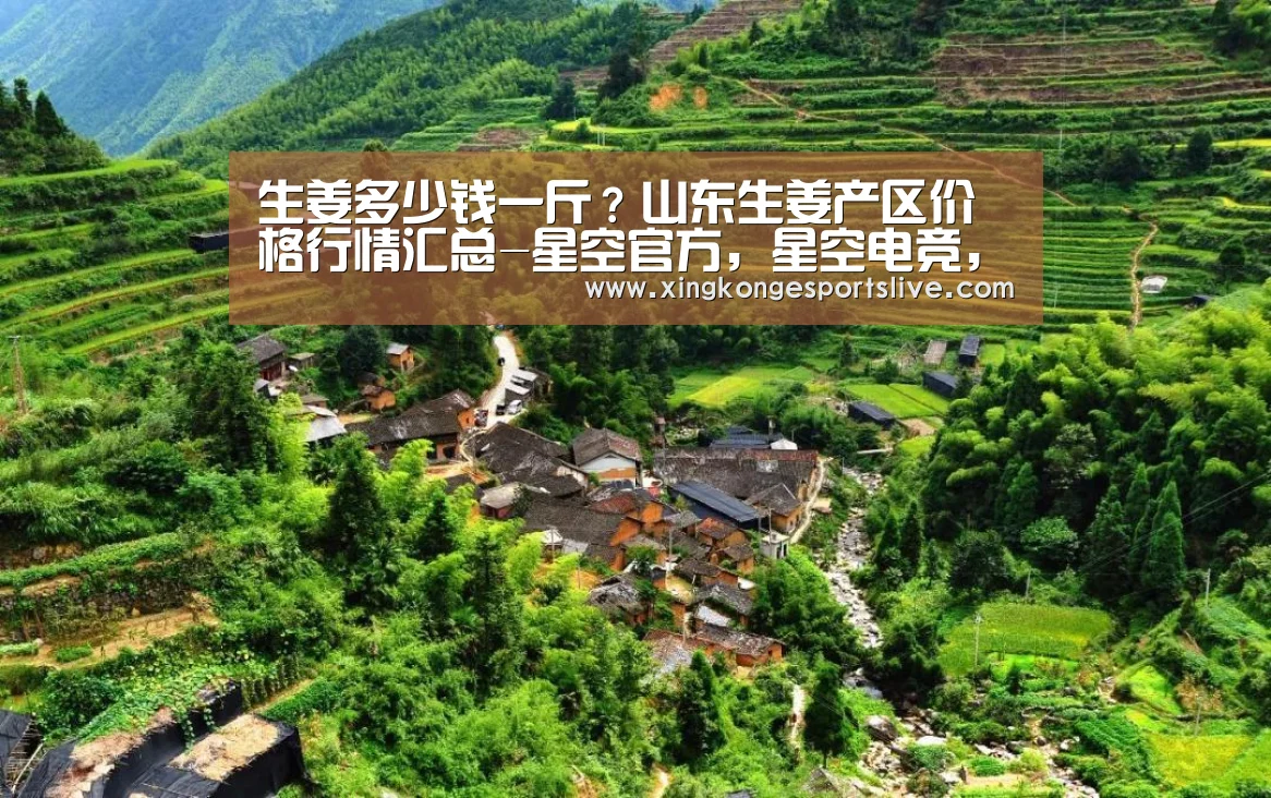生姜多少钱一斤?山东生姜产区价格行情汇总-星空官方,星空电竞,星空登录,星空平台(图1) 星空官方,星空电竞,星空登录,星空平台