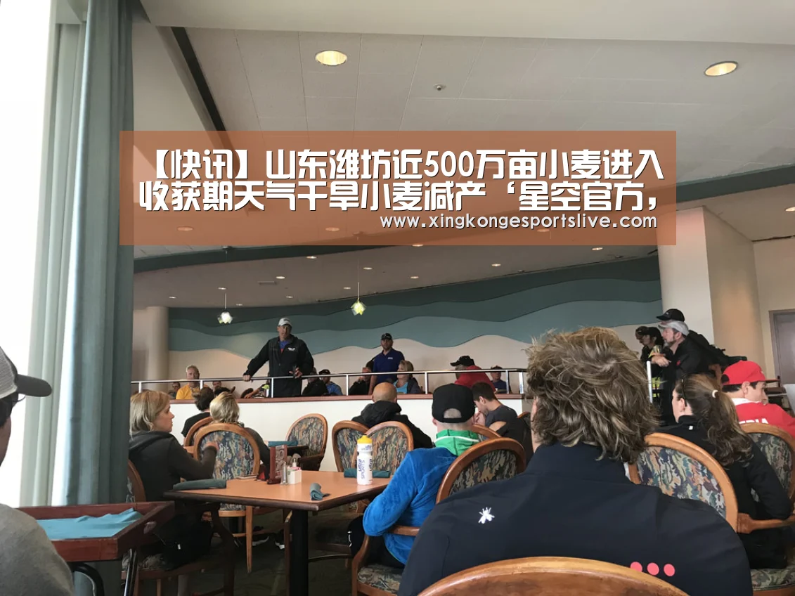 【快讯】山东潍坊近500万亩小麦进入收获期天气干旱小麦减产‘星空官方,星空电竞,星空登录,星空平台’(图1) 星空官方,星空电竞,星空登录,星空平台