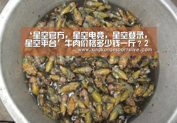 ‘星空官方,星空电竞,星空登录,星空平台’牛肉价格多少钱一斤?2020年牛肉价格行情分析(图2) 星空官方,星空电竞,星空登录,星空平台