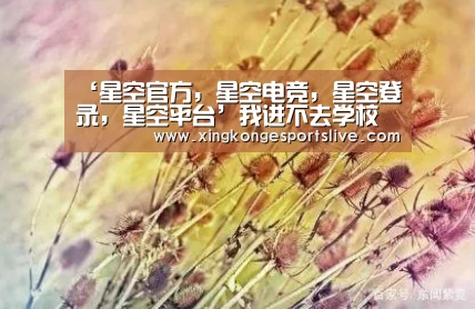 星空官方，星空电竞，星空登录，星空平台