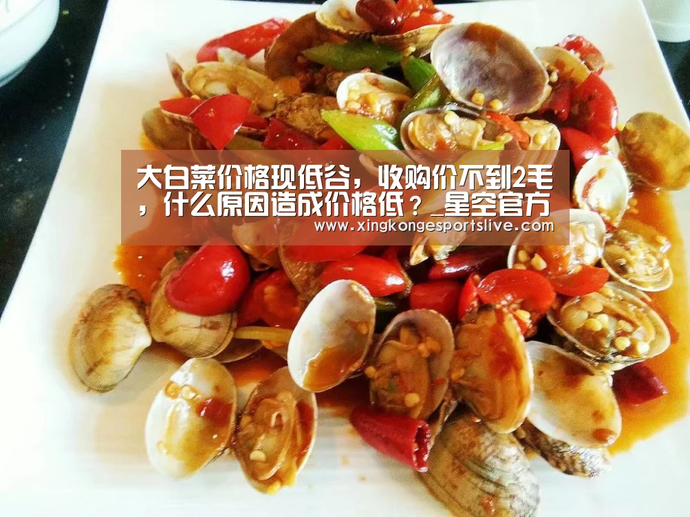 星空官方，星空电竞，星空登录，星空平台