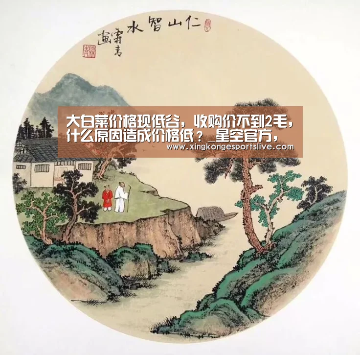 星空官方，星空电竞，星空登录，星空平台