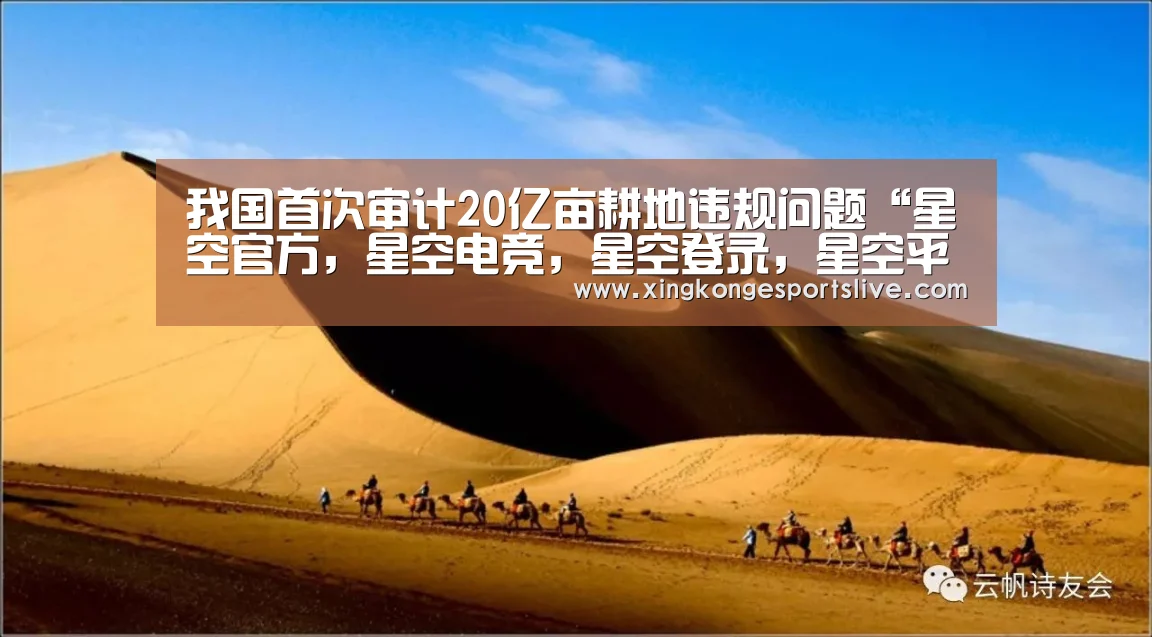 我国首次审计20亿亩耕地违规问题“星空官方,星空电竞,星空登录,星空平台”(图1) 星空官方,星空电竞,星空登录,星空平台