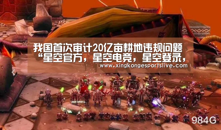 我国首次审计20亿亩耕地违规问题“星空官方,星空电竞,星空登录,星空平台”(图3) 星空官方,星空电竞,星空登录,星空平台