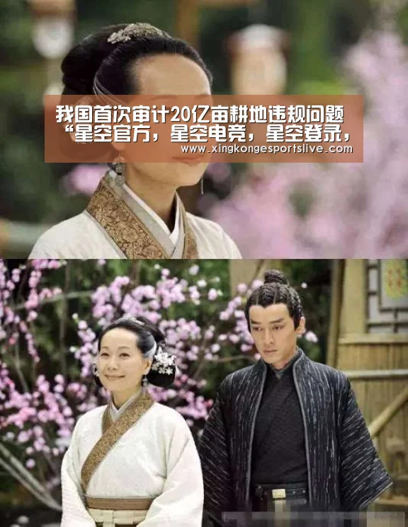 我国首次审计20亿亩耕地违规问题“星空官方,星空电竞,星空登录,星空平台”(图4) 星空官方,星空电竞,星空登录,星空平台