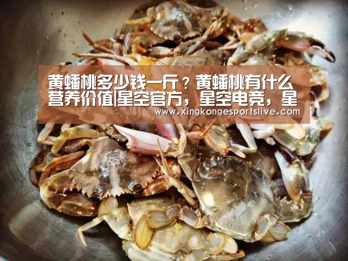 星空官方，星空电竞，星空登录，星空平台