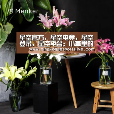 星空官方,星空电竞,星空登录,星空平台:小草里的大财富紫花苜蓿产业化发展(图1) 星空官方,星空电竞,星空登录,星空平台
