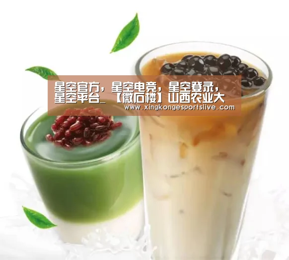星空官方，星空电竞，星空登录，星空平台