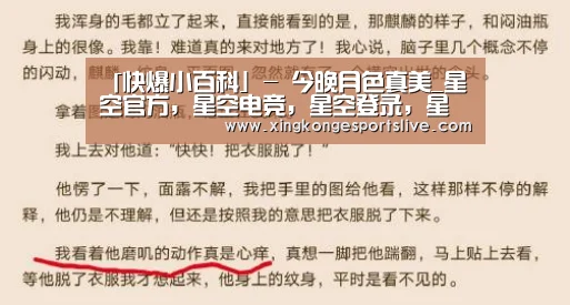 星空官方，星空电竞，星空登录，星空平台